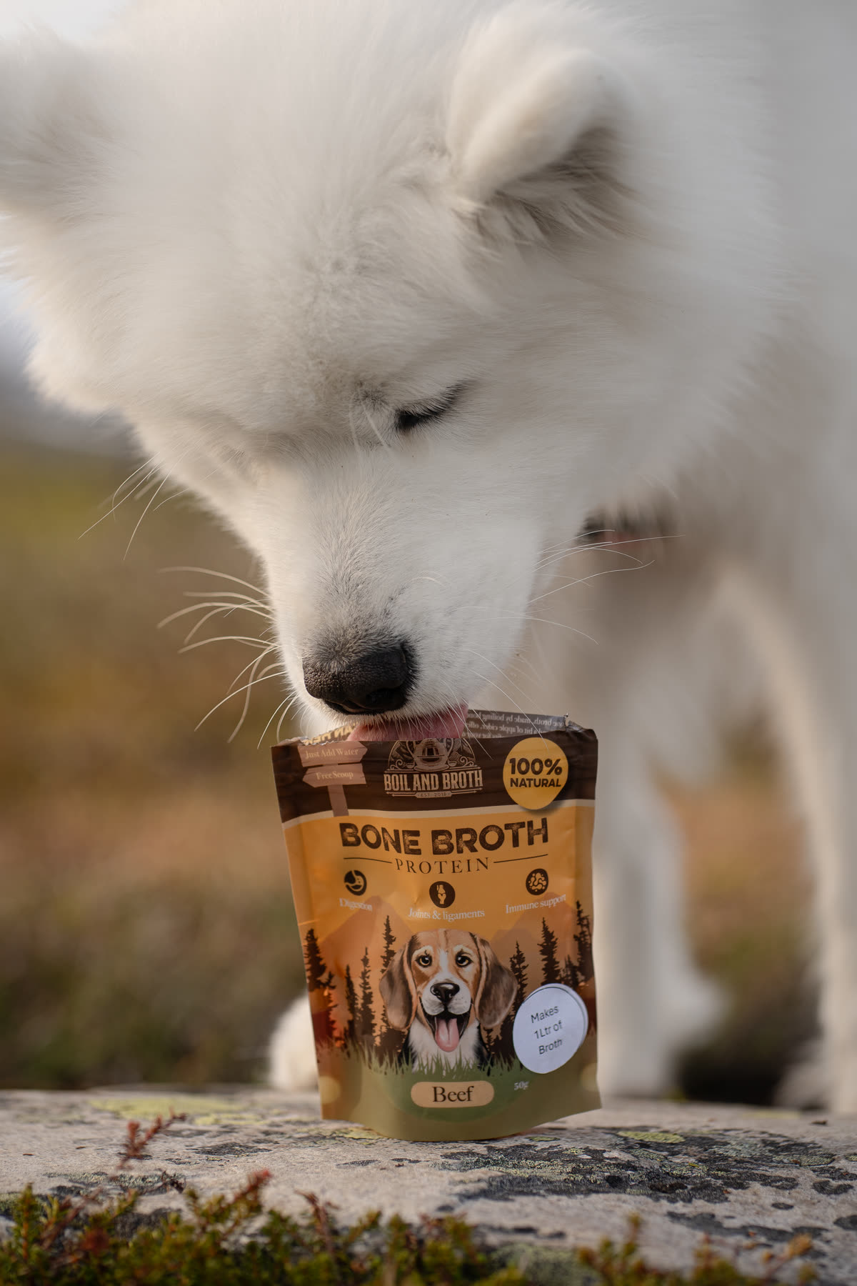 Hund som spiser godbit